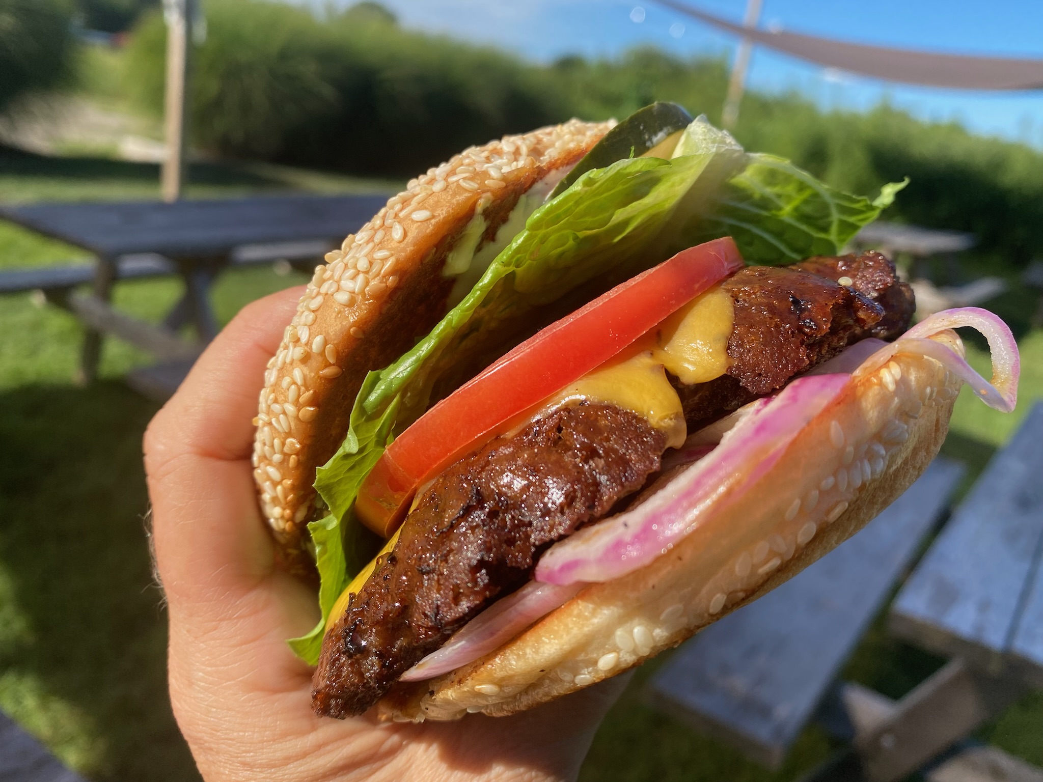 Burger with tomato, lettuce and house pickles, held up outdoors