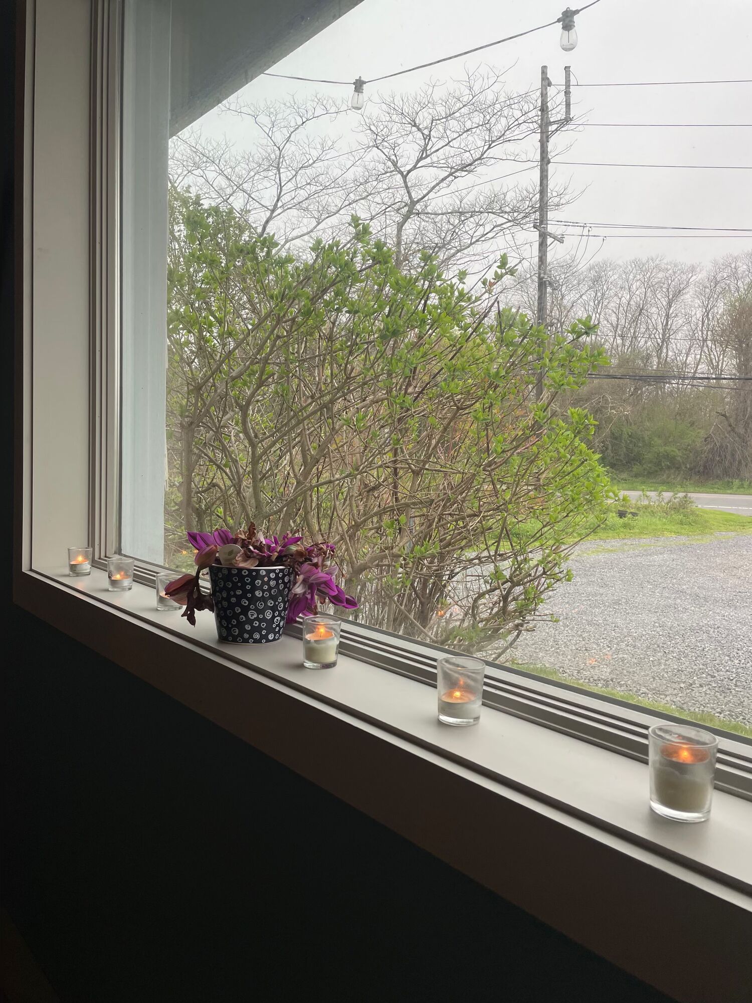 Votive candles and a potted plant on the dining-room windowsill, looking out on spring trees